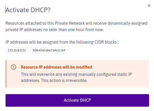 A modal displays the text: 'Acticate DHCP? Resources attached to this Private Network will receive dynamically-assigned private IP addresses no later than one hour from now. IP addresses will be assigned from the following CIDR blocks' (and an example IPv4 and IPv6 block). 'Warning: resource IP addresses will be modified. This will overwrite any existing manually configured static IP addresses. This action is irreversible.' A button at the bottom of the modal displays the text 'Activate DHCP'.