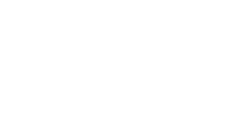 dfm europe