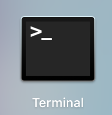 Terminal Icon