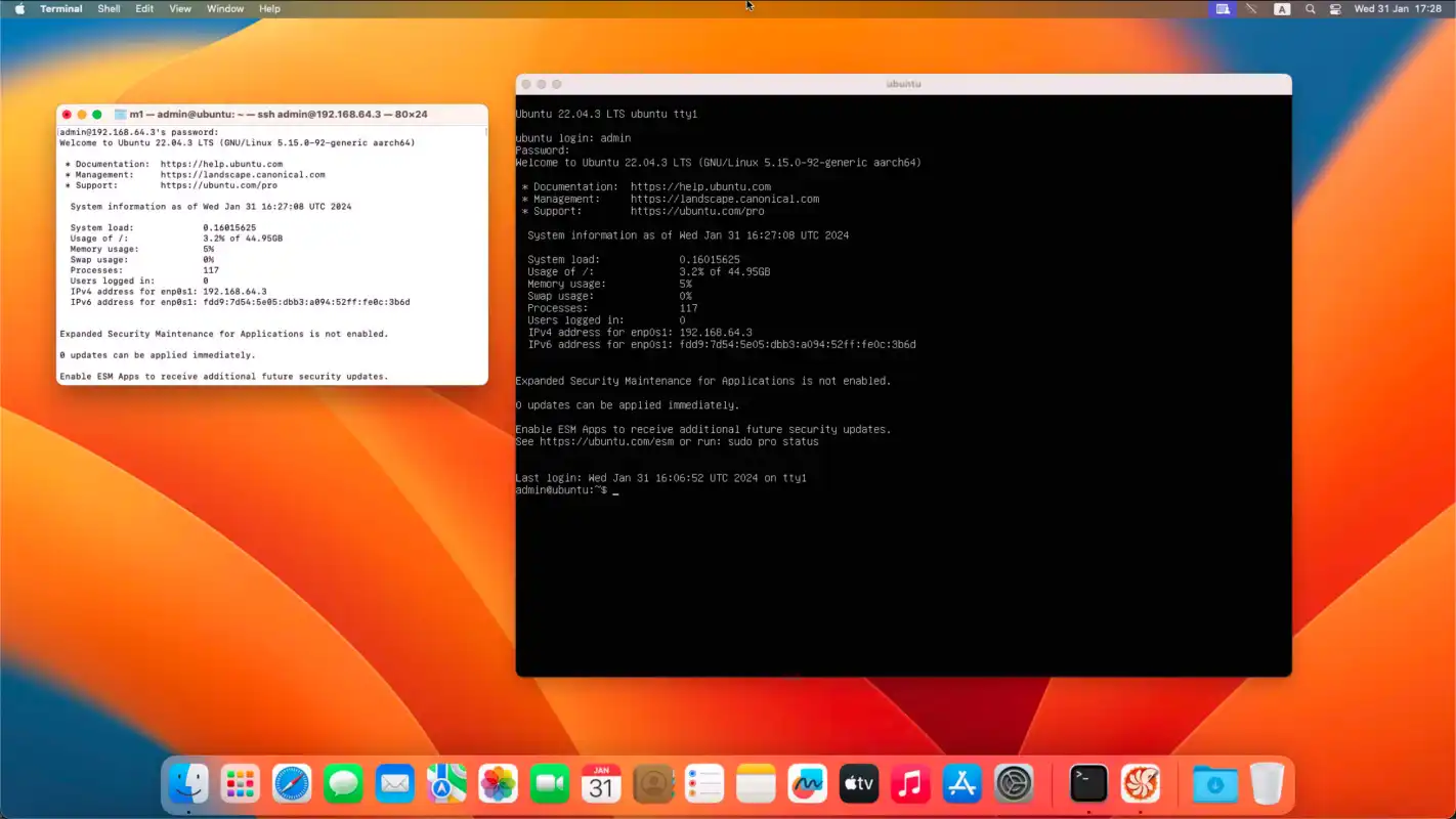 Ubuntu Linux in a virtual machine, displayed on the main desktop of a Mac mini